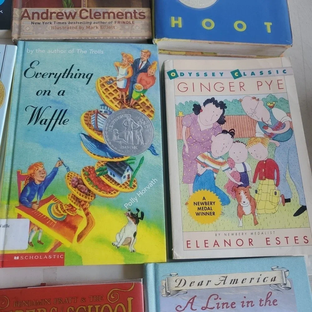Lot of 24 Level  5 RL~ Reading‎ Learn Books MIX Youth Middle School PB HC HB